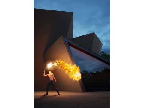 Boiserie Firewall Planches de Déco