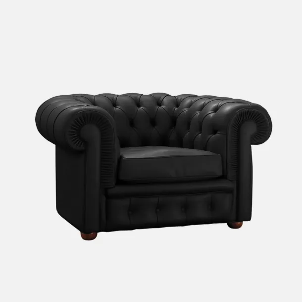 Fauteuil confortable de Sigeric
